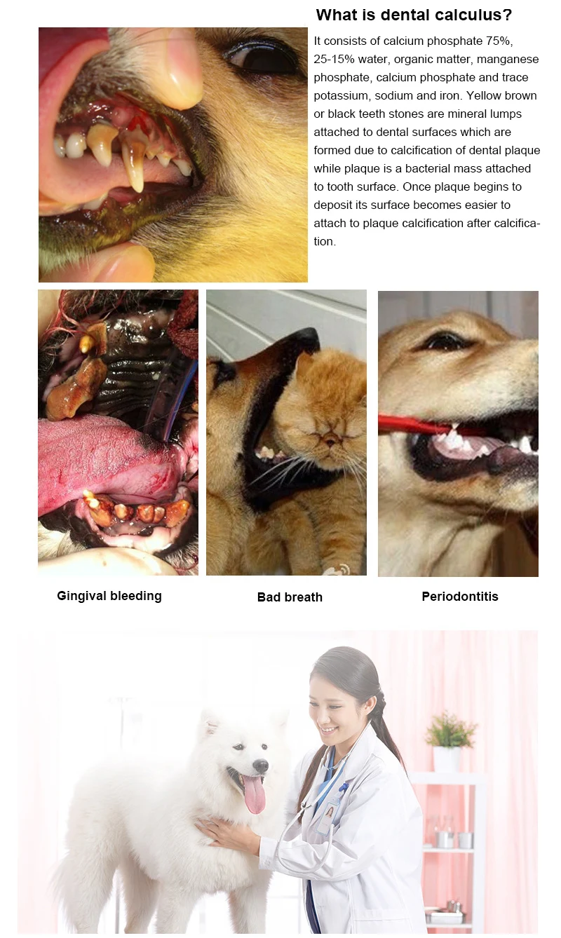 

Pet Dental Calculus Tool for Cats Dogs Oral Cleaning and Tartar Removal Dental Stain Cleaner Tooth Cleaner