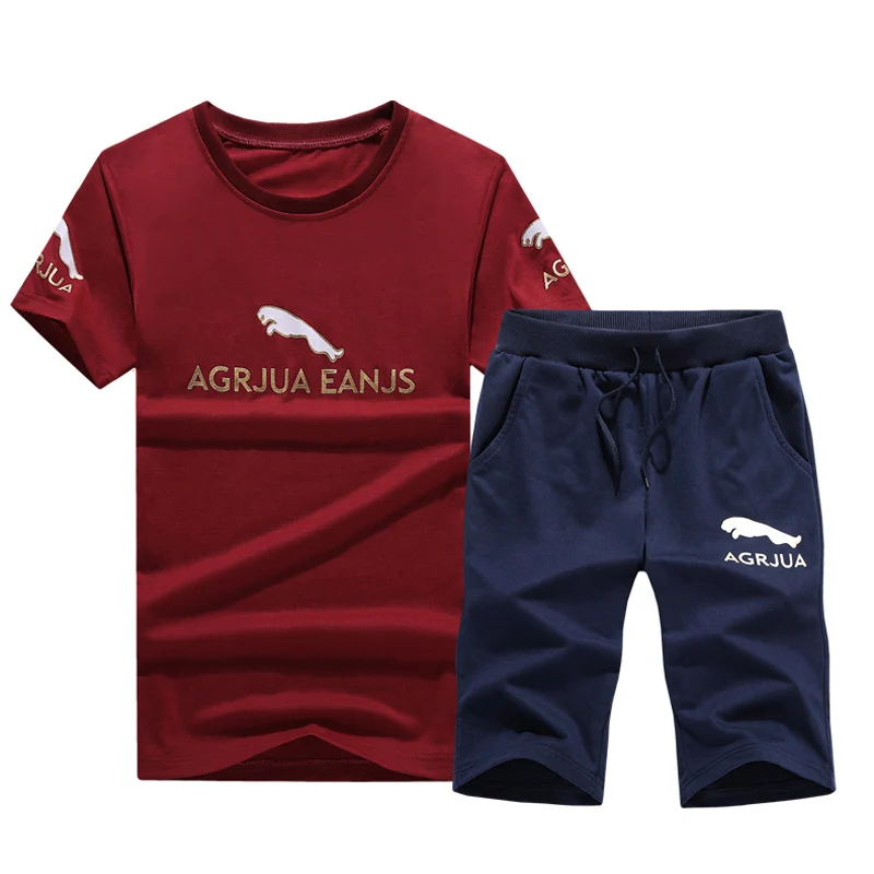 2 шт. новые комплекты футболок Мужская модная толстовка мужские футболки + шорты