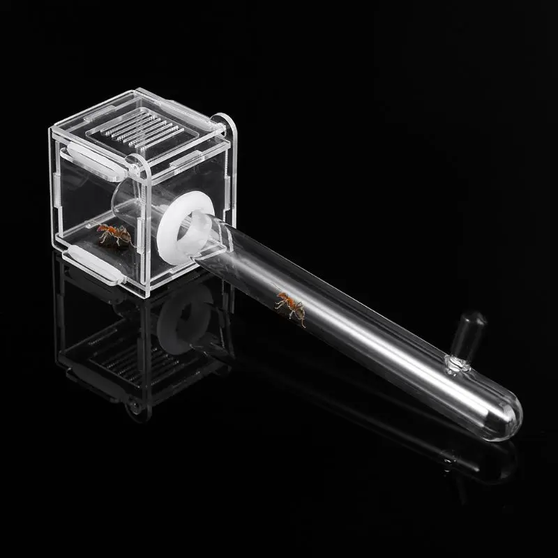 

Ant Nest Glass Tube Mini Ant Nest with Active Zone Insect House Acrylic Ant Farm