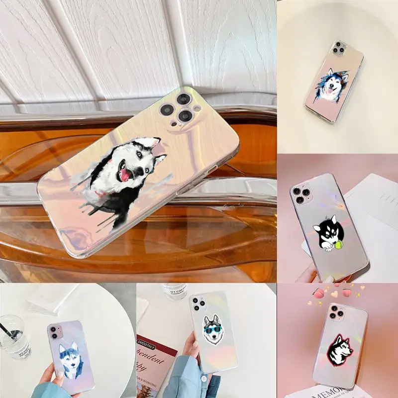 

Cool Husky Phone Case for iPhone huawei P 7 8 9 11 12 10 30 40 S X XS XR MINI Pro Max Plus laser Transparent