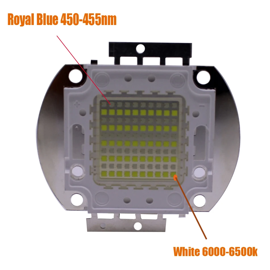 50 Вт 100 двойной цвет Светодиодный белый 6000k + королевский синий 450nm 28-36V Высокая