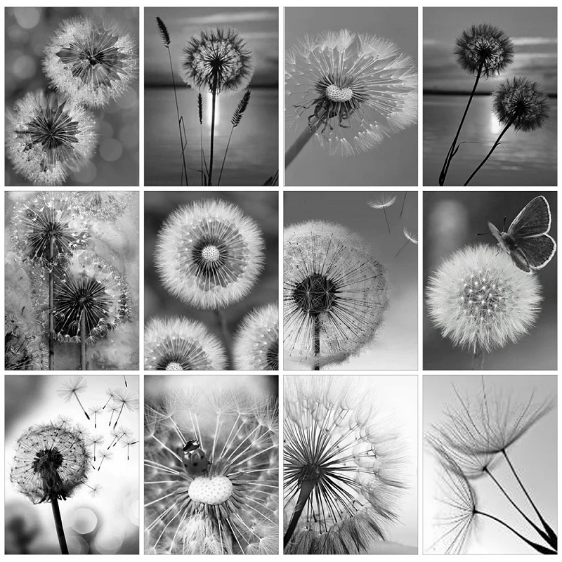 

LUOVIZEM DIY 5D Diamond Painting Dandelion Landscape Full Square/Round Drill Mosaic Embroidery Cross Stitch Home Decor Picture