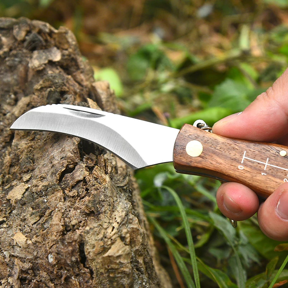 

Foldable Blade Folding Knife Mini Wood Mushroom Knife Frictional Handle Portable Pocket Knife Outdoor Survival Tools
