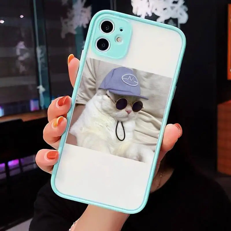 

Cute Cats New Year Gifts Phone Case matte transparent For iphone 7 8 11 12 plus mini x xs xr pro max cover