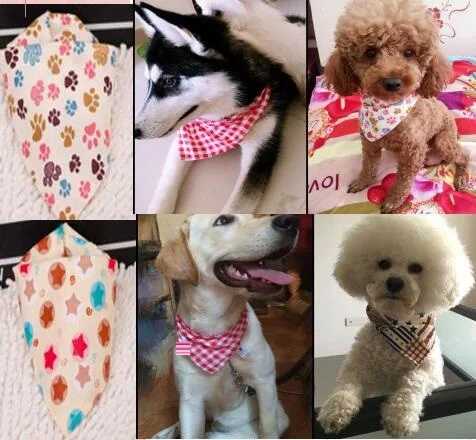 Оптовая продажа 200 шт./лот 2021 новый смешанный 60 цветов Регулируемый Новый Ошейник