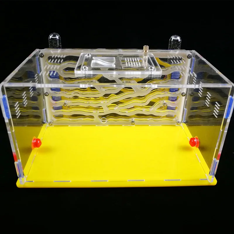 Увлажняющая водная башня три гнезда муравьиная ферма искусственные насекомые