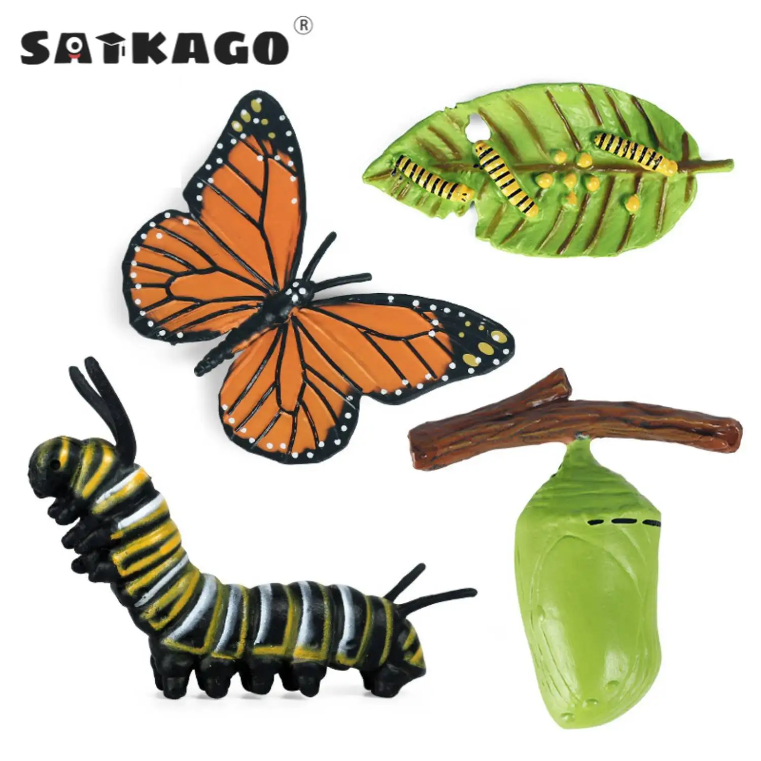 

Simulation Life Cycle Figurine of a Monarch Butterfly Growth Cycle Insect Animals Action Figures Educational Biology Science Toy