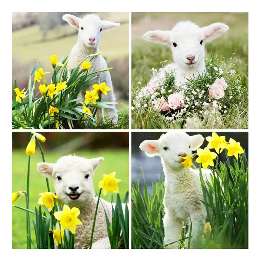 5d алмазная вышивка живопись овечка крестиком полностью круглая 5D мозаика цветы