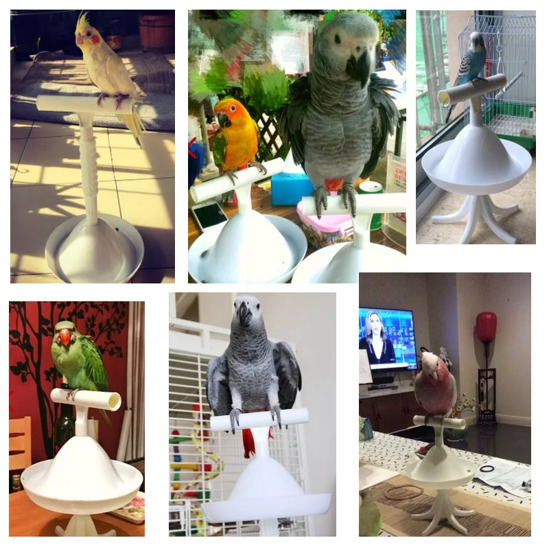 

Parrot Stand Bird Toys Portable Perch and Training Tool Light Weight Bird Stand Safe Sturdy Tool for All Sizes Parrots