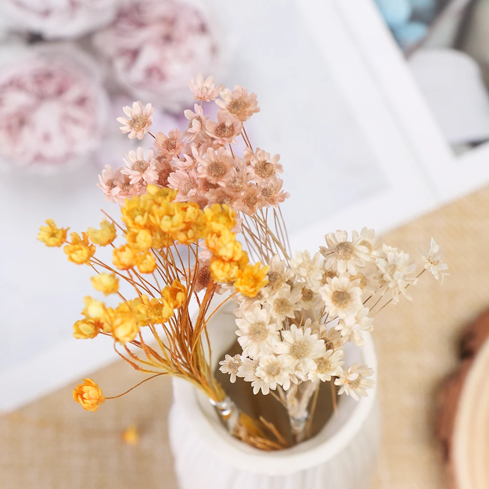 30 шт. декоративные сушеные цветы маленькие Маргаритки | Дом и сад