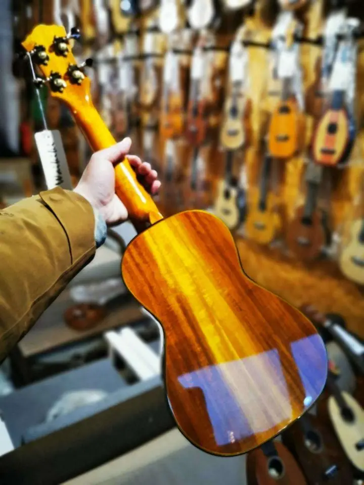 

Waikiki ck-150 SKOA Acacia all single ukuleri beginner Hawaiian guitar 23 inch