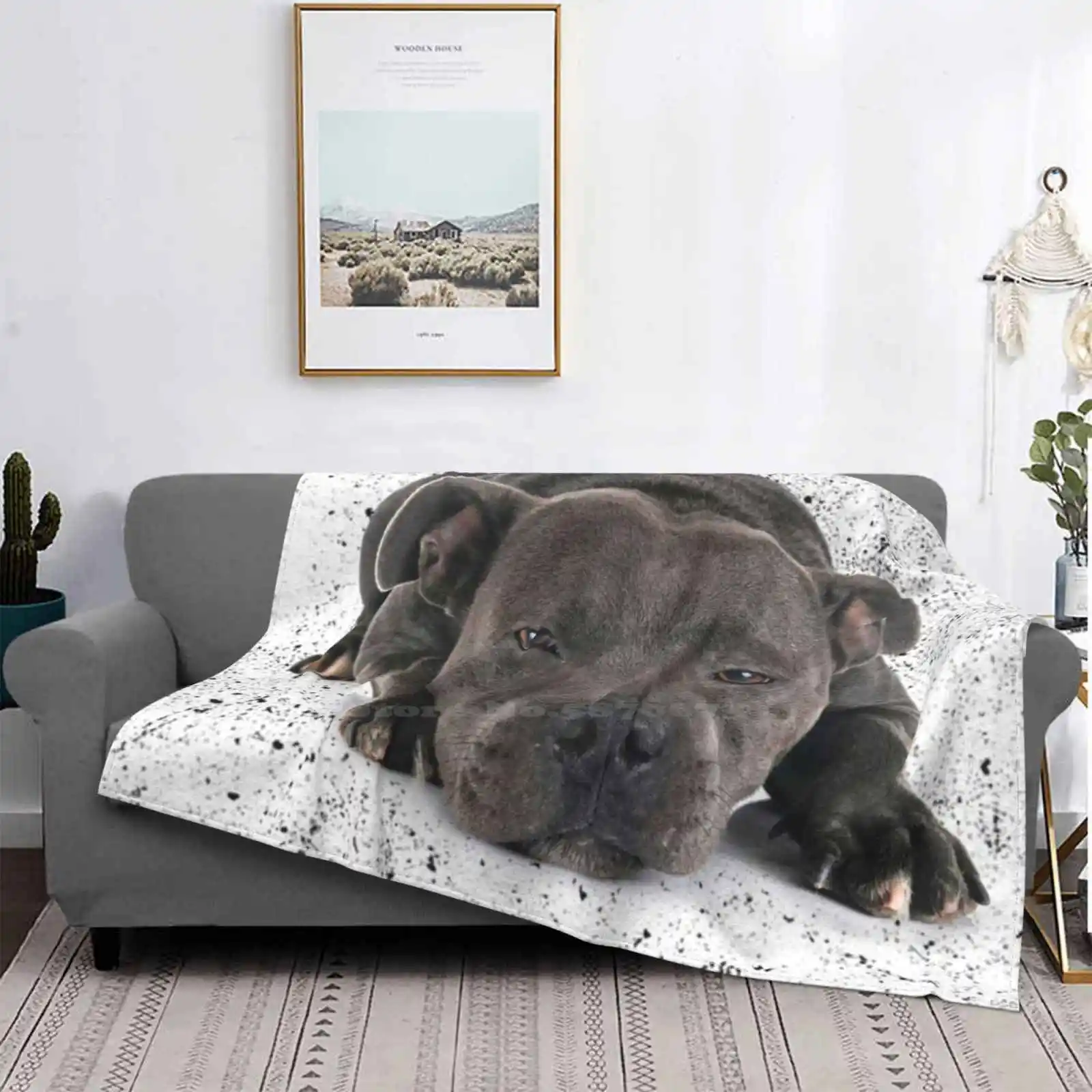 Новинка модное мягкое одеяло Love Is 4 Paw Waggy Tail голубой Стаф Шир-бультерьер новый