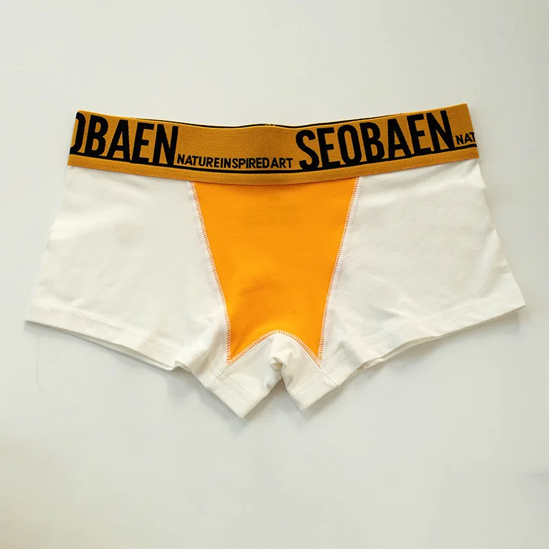 HaleyChan Underwear Women Panties 3 Pcs Cotton Boxer Briefs for Tomboy Trans Lesbian Transgender Ftm Women Sports Underpants