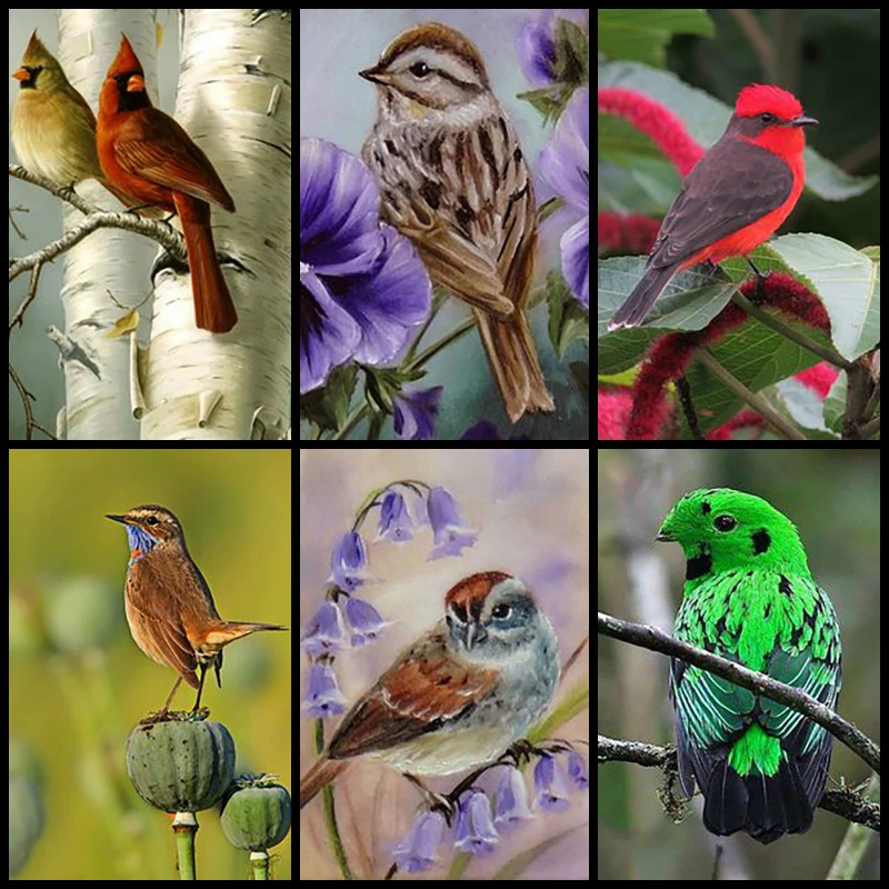 

5d Diamond Painting Bird Flower Landscape Kit Full Square Drill Picture of Rhinestones Diamond Embroidery Mosaic Sale Home Decor