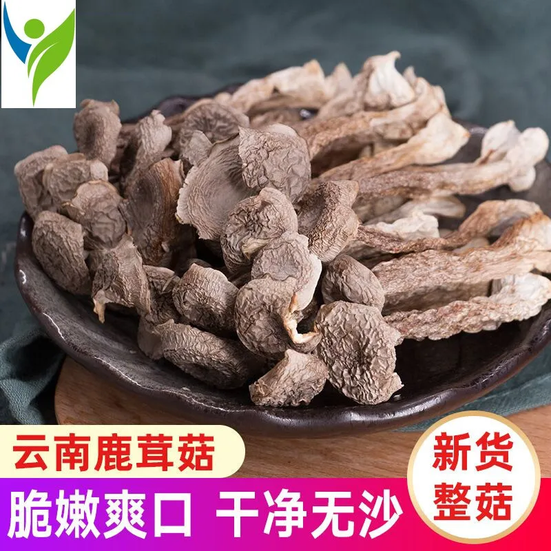 

High Quality Aid Digestion Velvet Mushrooms,dried velvent antler mushroom