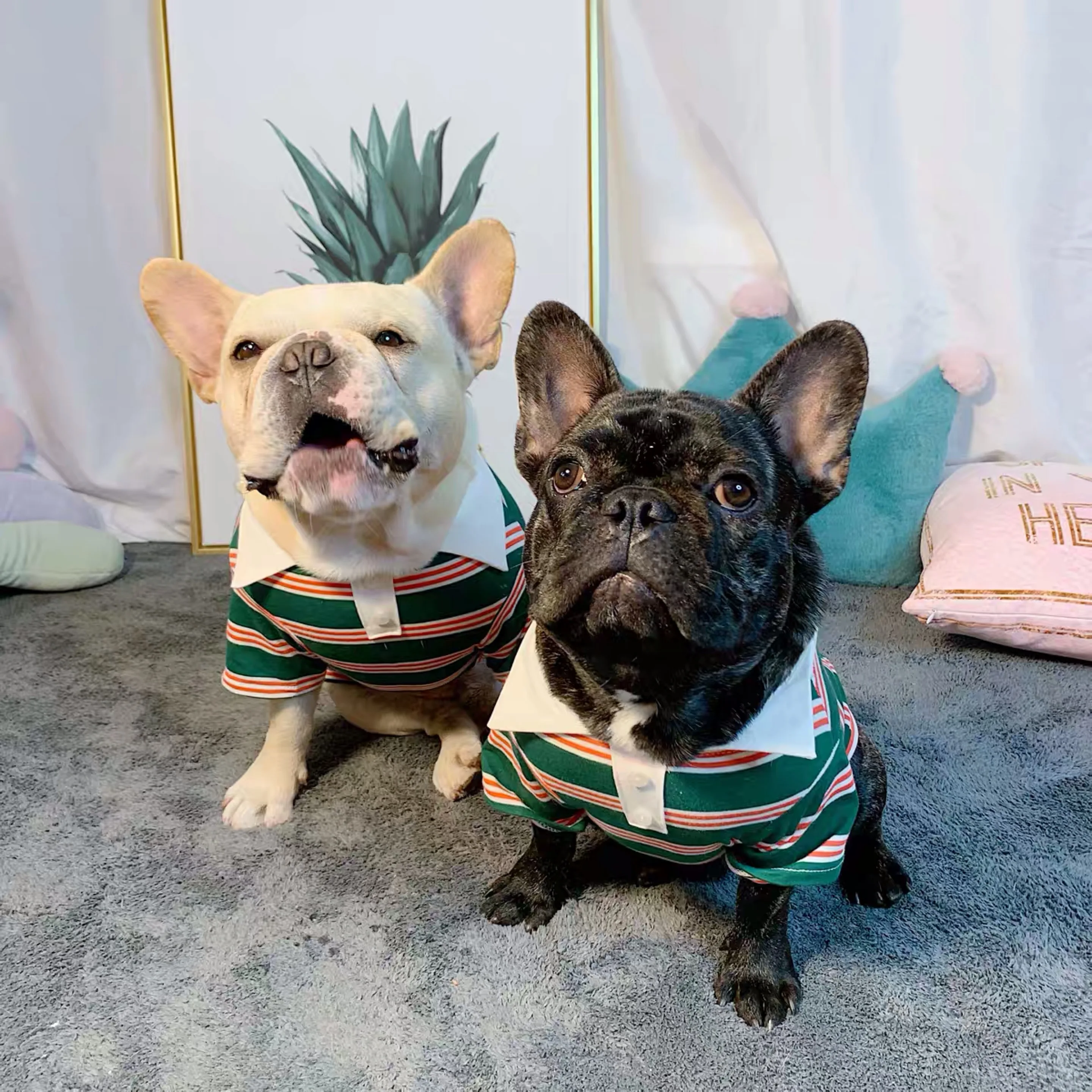 Футболка для домашних животных летняя крутая жилетка одежда маленьких средних и