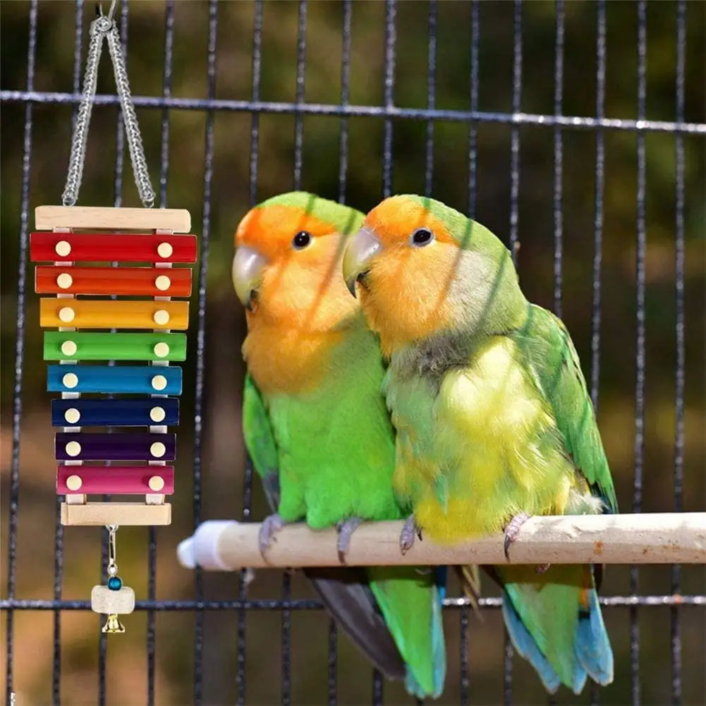 

Pet Xylophone Toy For Birds Suspensible Chicken Coop Pecking Toys