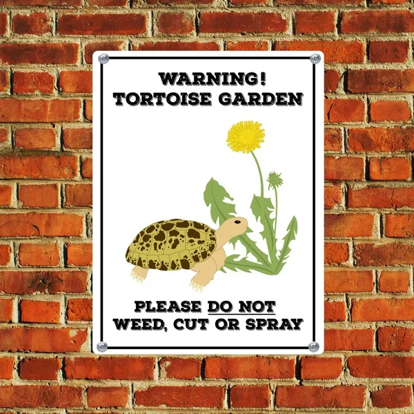 

Tortoise or Turtle Garden Beware of the Pet Animal Tin Sign Metal Sign Metal Poster Metal Decor Metal Painting Wall