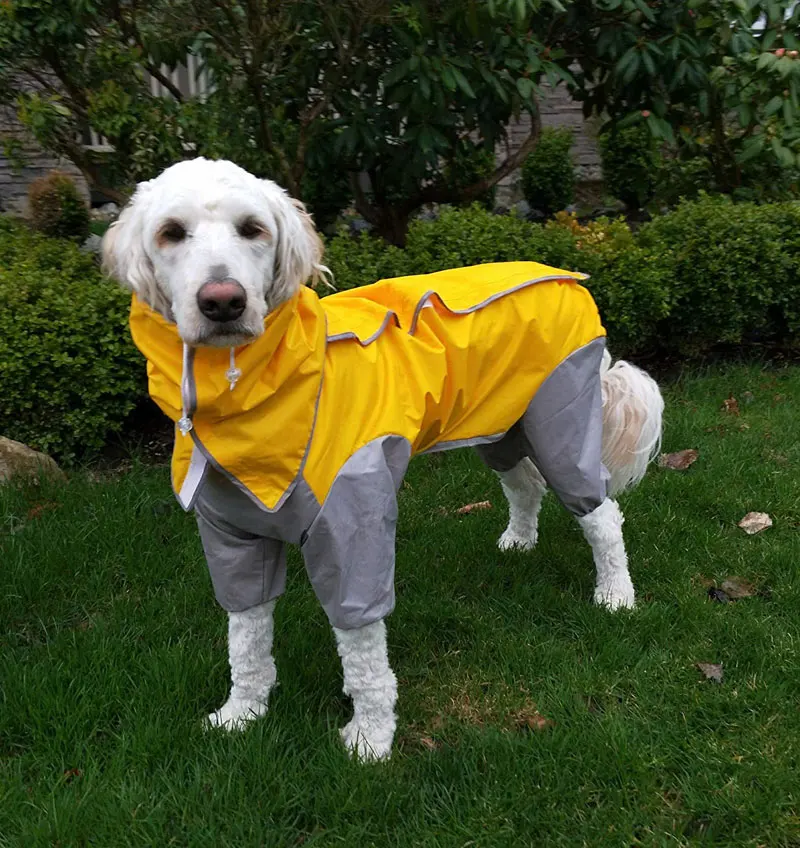 Водонепроницаемый ПЭТ собачьи плащи легкий и высокая видимость полный диапазон