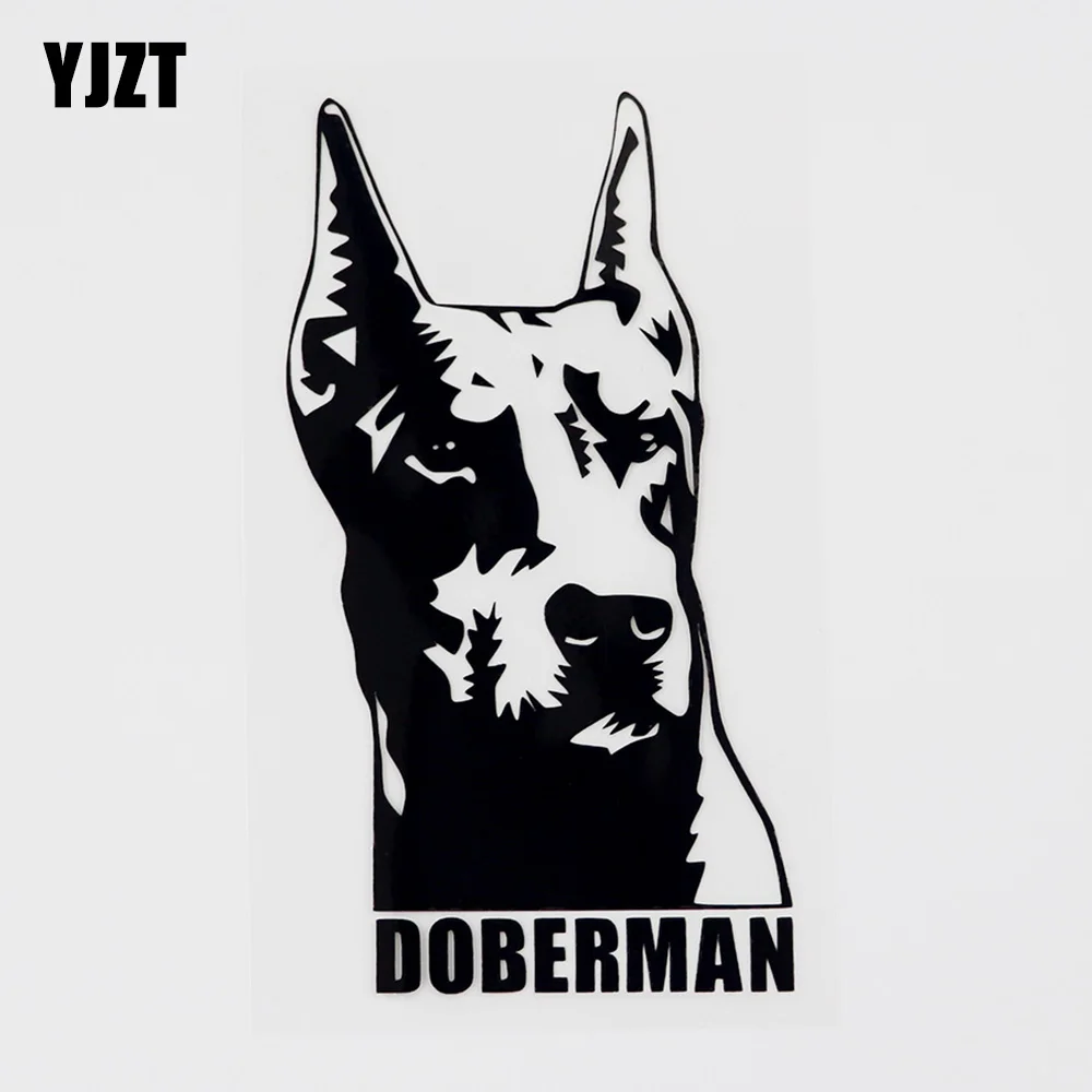 YJZT см x наклейка на окно автомобиля Doberman с животными цвет черный/серебристый 8C