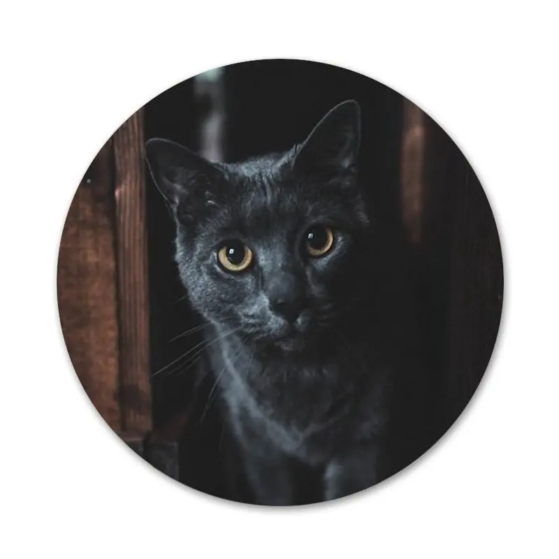 Значок с кошачьими глазами для украшения одежды и рюкзака | Дом сад