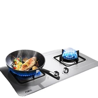 gas stove household energy saving fire stove naturalliquefied gas stove household embedded double hole gas stove