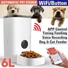 Автоматическая кормушка для домашних животных, 6 л, умный диктофон, управление через приложение, таймер, дозатор корма для кошек и собак, видеоWiFiкнопка
