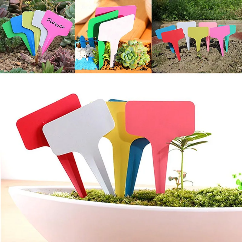 

Flower and vegetable planting label tool agricultural garden seedling tray gardening plant T-shaped plastic label gardening tool