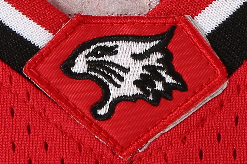 Зак Эфрон Трой Болтон Восточная старшая школа дикие кошки № 14 красная Ретро