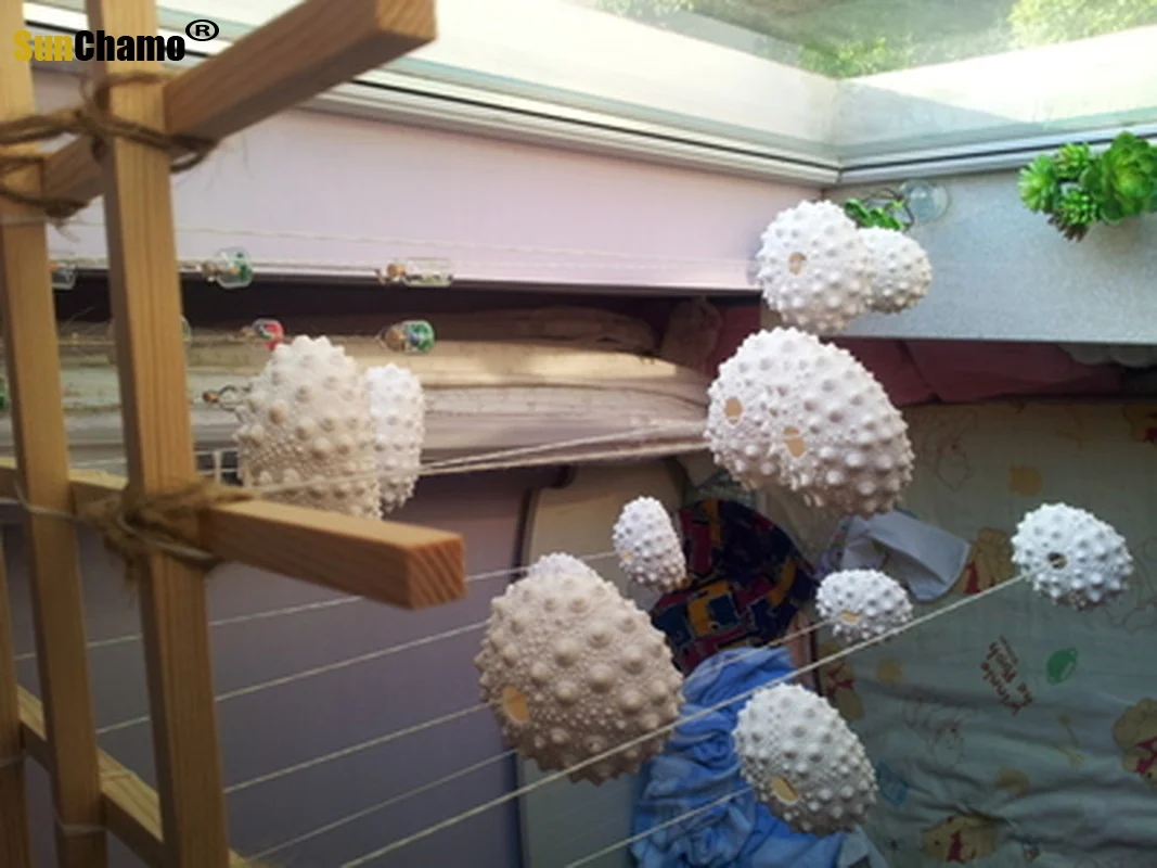 Натуральный морской урчин сердце натуральный раковины креативный DIY Декор