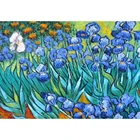 Набор для алмазной вышивки стразы, картина 5D сделай сам с цветами, полная выкладка, подарок, мозаика