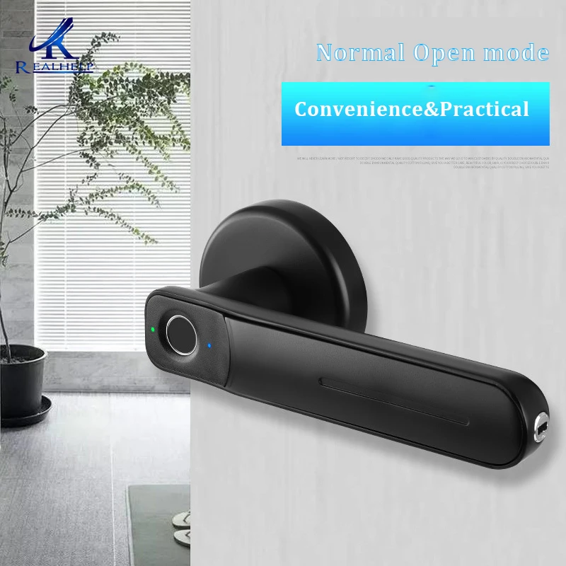 

Fingerprint Electric Smart Door Lock Biometric Keyless Entry Door Handle for Family Office