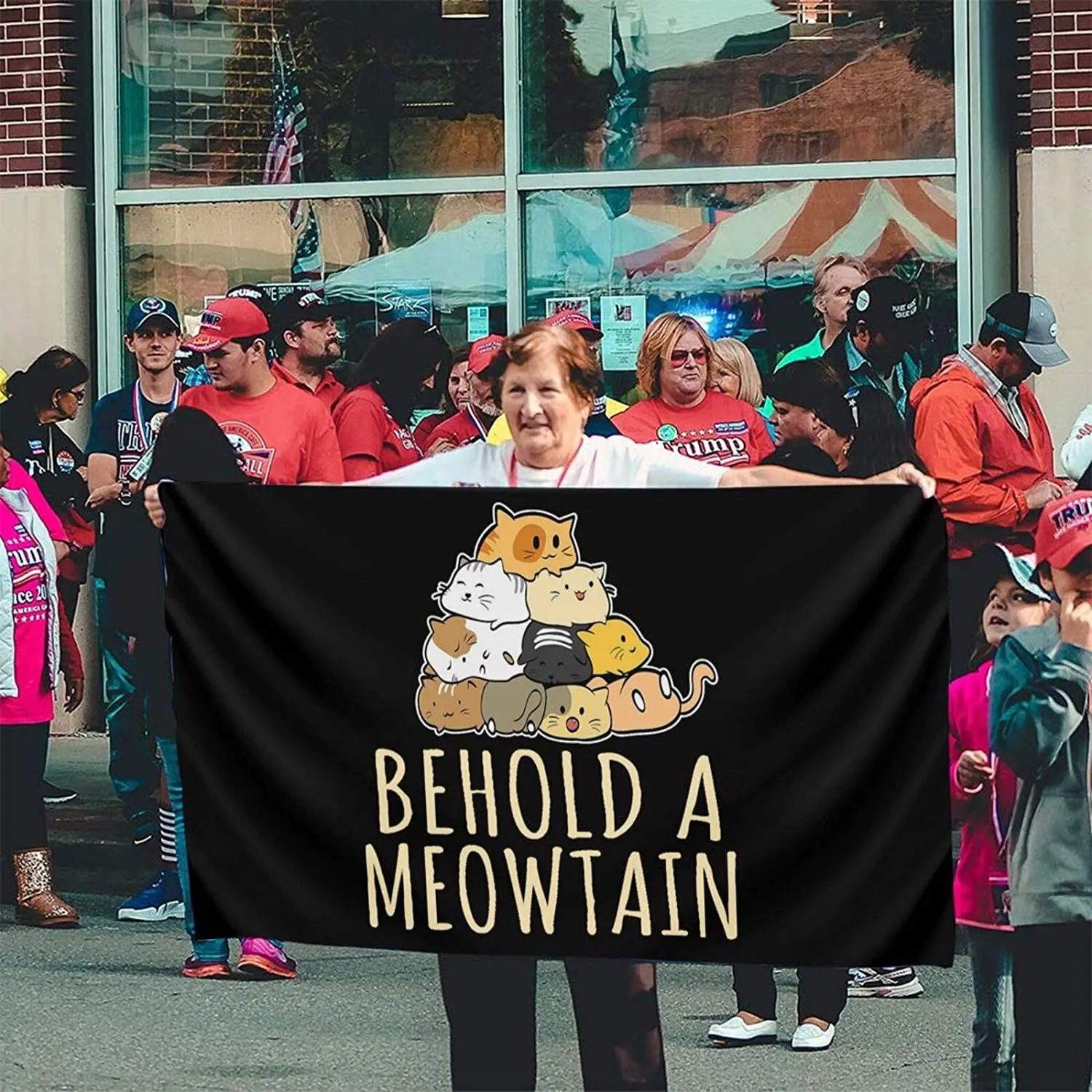 

Behold A Meowtain Cat Flags 3x5 Outdoor Indoor Banner Flag House Garden Decor