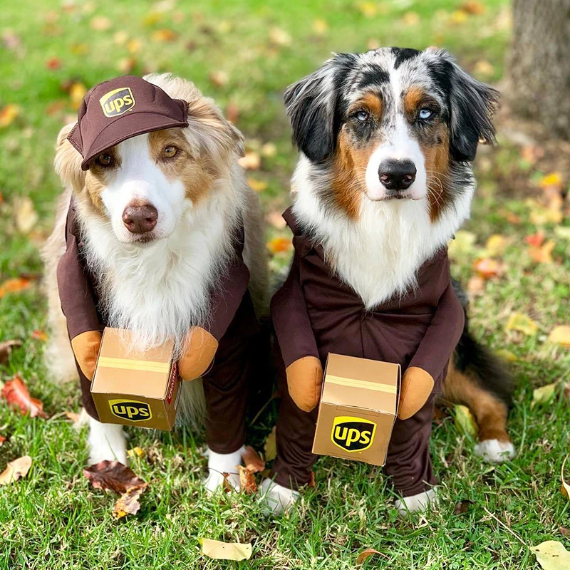 Colecciones UPS Pal-ropa para perro grande, disfraz divertido para perro peque&ntilde;o, conjunto de sombrero con capucha para fiesta de a&ntilde;o nuevo, gatos y mascotas, para invierno-5