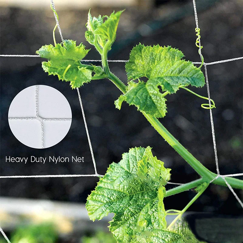 Сетка 5/10 м полиэфирная сетка для Утренней славы цветы садовые растения