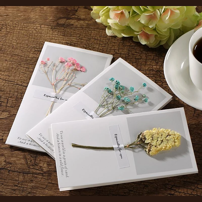 1 коробка красочные настоящие сухие цветы завод солнечной энергии для