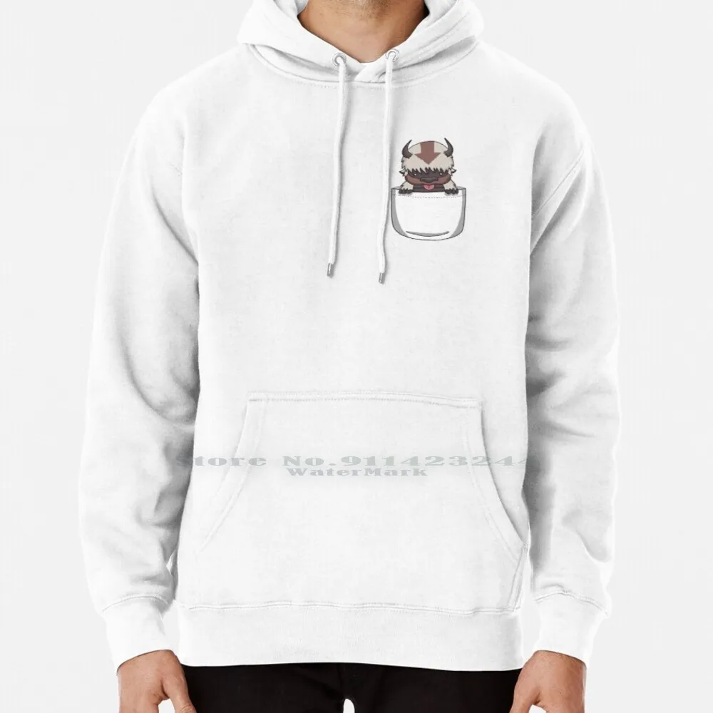 

Appa Pocket Hoodie Sweater 6xl Cotton Appa Last Airbender Aang Atlab Katara Sokka Toph Momo Bison Flying Pocket Cute Women