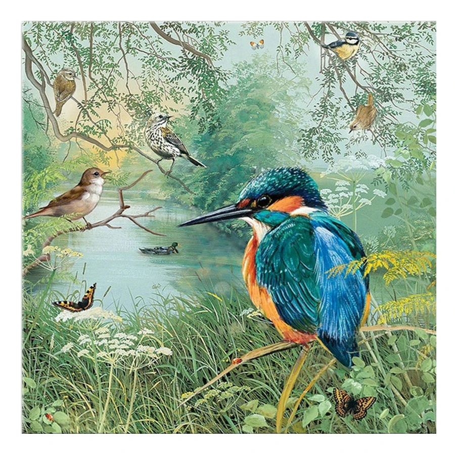 5D Стразы для рукоделия мозаика из смолы полная алмазная живопись kingfisher комплекты
