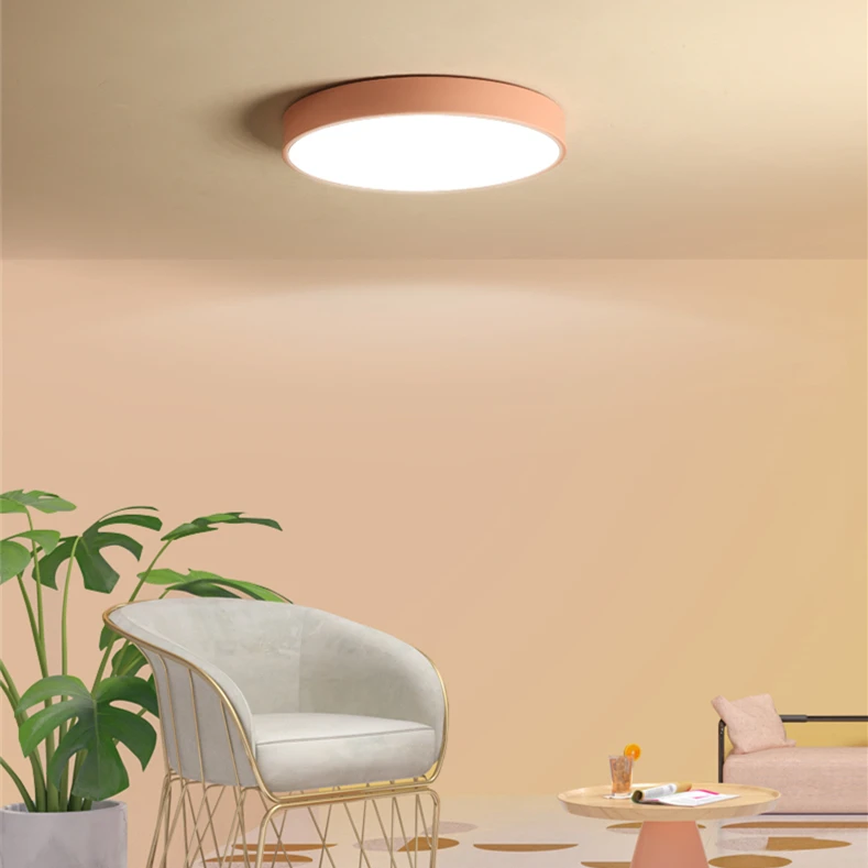 Скандинавский потолочный светильник Современный Железный плафоньер