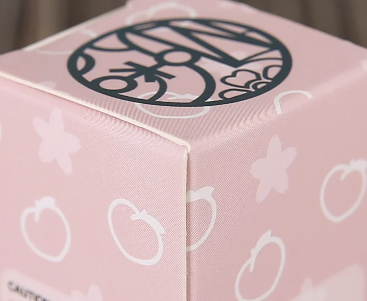 Устойчивая к ультрафиолетовому излучению коробка для блеска губ CMYK/PMS посылка