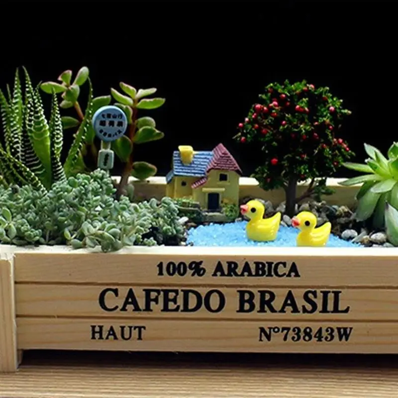 2 Pcs Succulent Storage Tray Planter Cute Flower Pots Bonsai Potted Plate Flowers Containing Box Garden Supplies Craft | Дом и сад