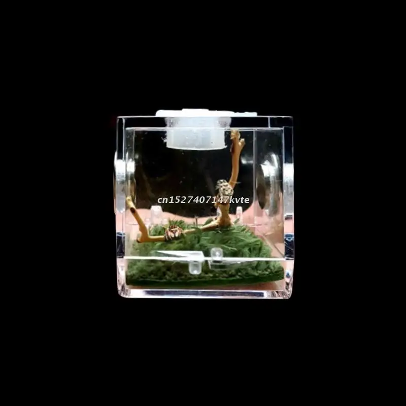 Коробка для разведения мелких рептилий прозрачная акриловая клетка бокс
