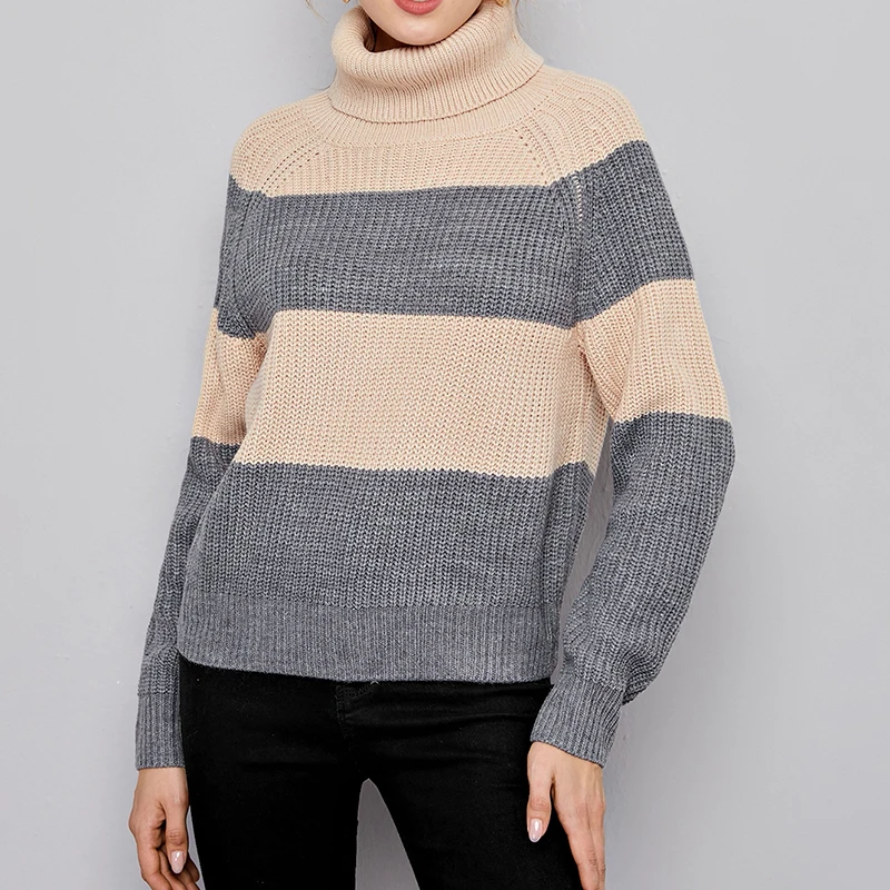 

Turtle Neck Colorblock Sweater