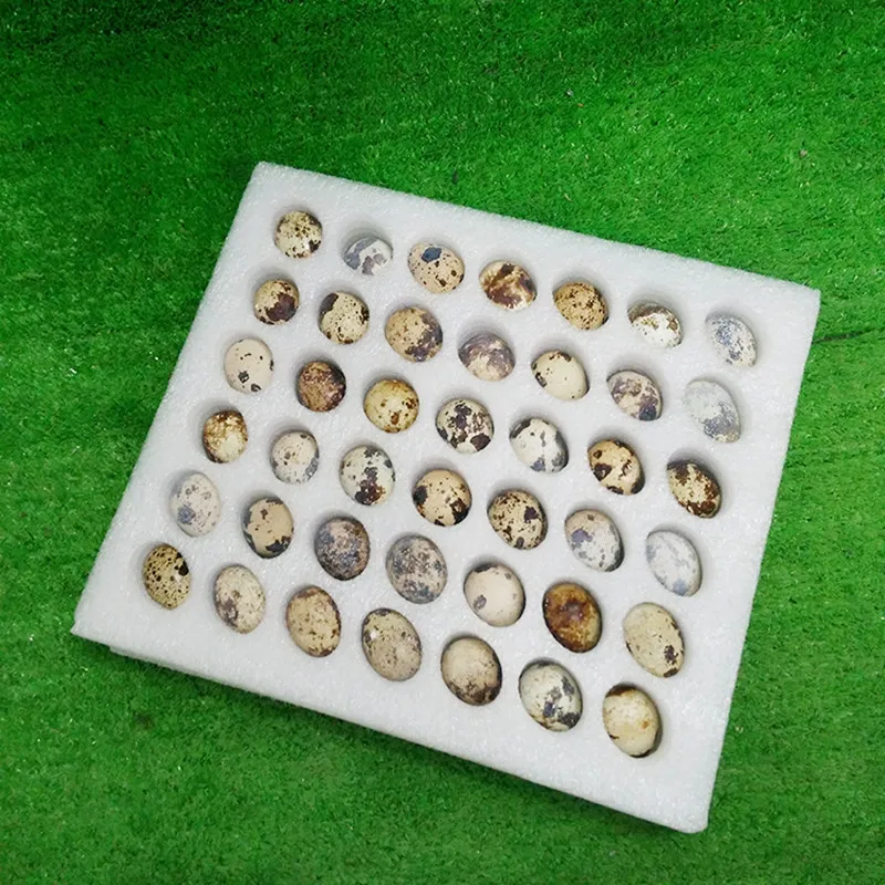 Пеной из терполимера тфэ гфп и перфторалкилвинилэфира 42 Отверстия маленькой