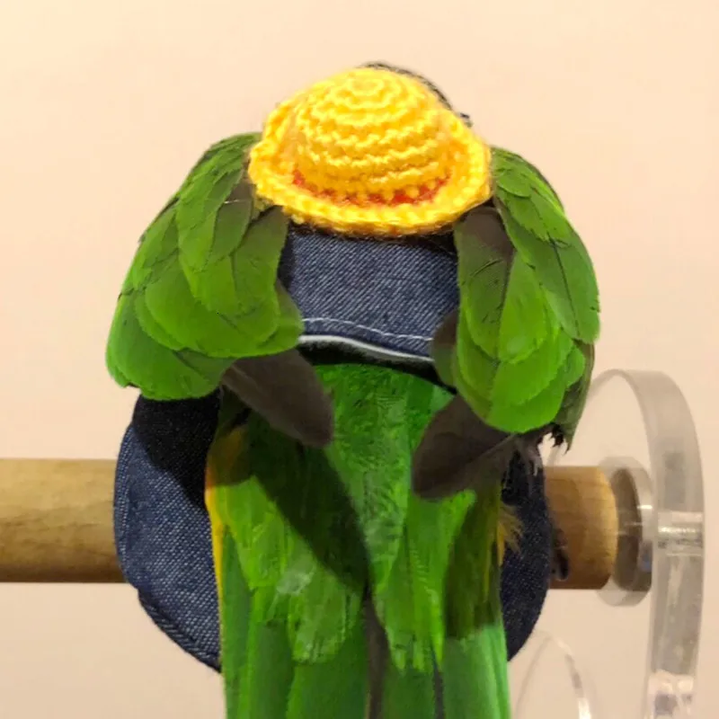 Одежда для подгузников с попугаем и птицей новый тип летающий костюм штаны Macaw