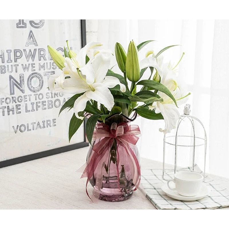 Европейский стиль Современная мода прозрачная свежая стеклянная ваза