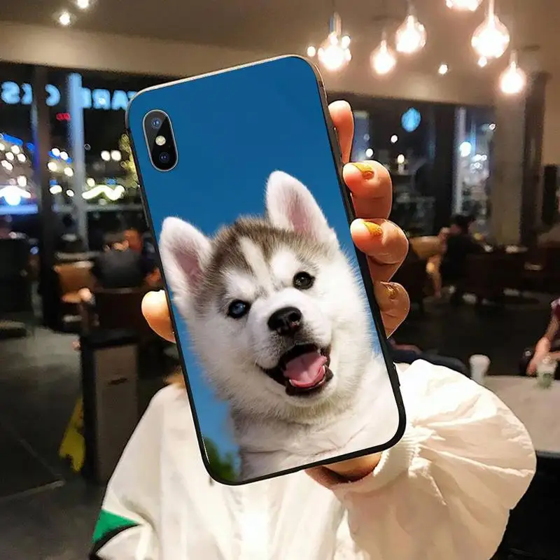 

Cute aniaml dog husky Phone Case for iPhone 11 12 pro XS MAX 8 7 6 6S Plus X 5S SE 2020 XR