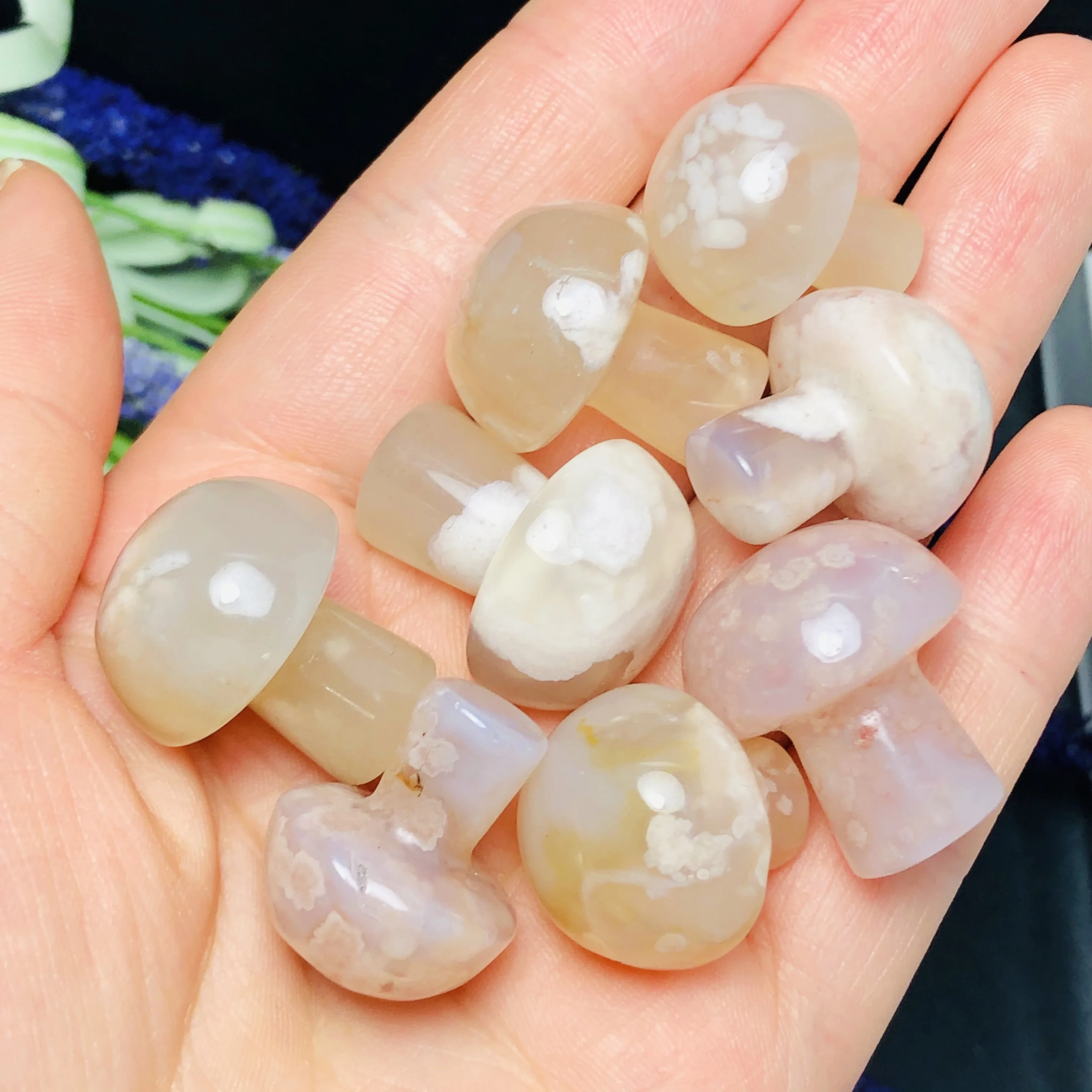 Натуральный мадагаскарский цветок вишни искусственный Миниатюрный Мини-гриб