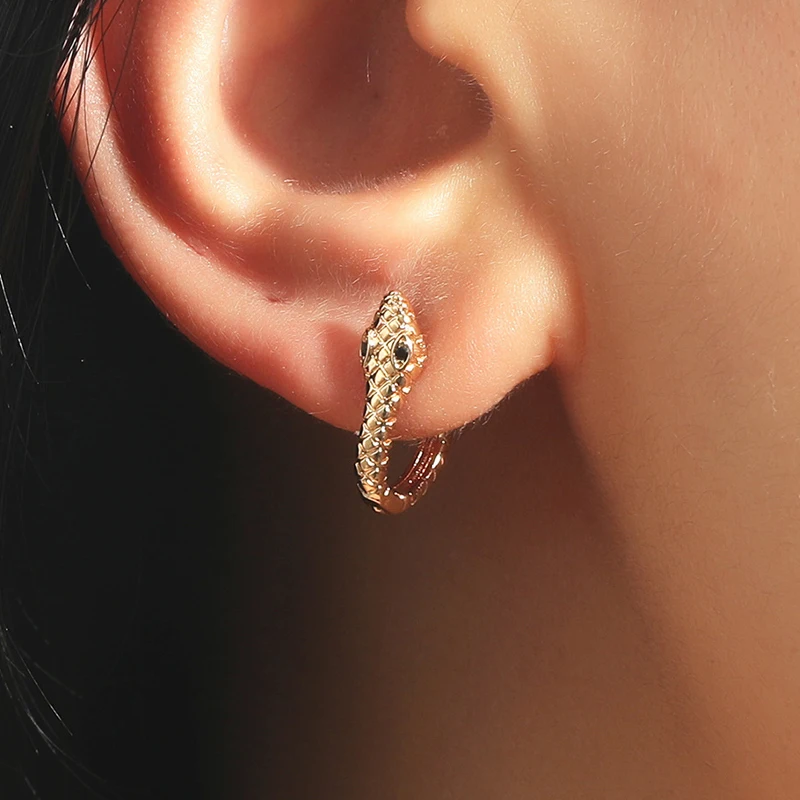 В европейском и американском стиле Ins Ретро креативные серьги-гвоздики в виде змеи модные массивные панк металлические серьги ювелирные из...