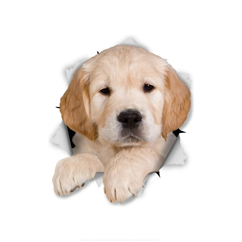 

Коллекция Dawasaru, 3d-наклейка для окна, скейтборда, мотоцикла, ноутбука, мотоцикла, автомобиля, грузовика из ПВХ, 15 см